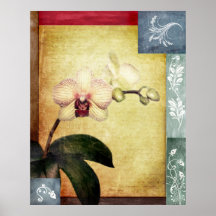 Orquídea intemporal posters