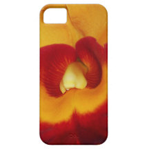 Orquídea iPhone 5 Fundas
