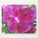 Orquídea Mousepad Tapete De Ratones
