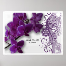Orquídea negra poster