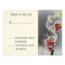 Orquídea negra RSVP invitaciones