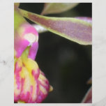 orquídea oscura tarjetas informativas