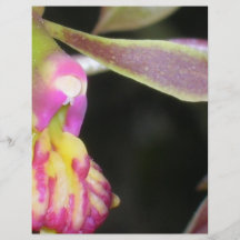 orquídea oscura tarjetas informativas