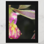 orquídea oscura tarjetas informativas
