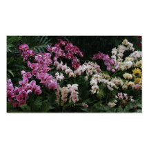 Orquídea Plantilla De Tarjeta De Negocio