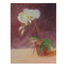 "Orquídea " Postal