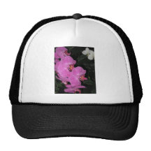 Orquídea púrpura en los jardines de Longwood, Penn Gorros Bordados