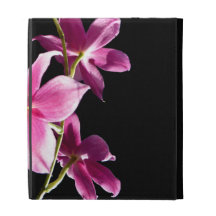 Orquídea rosada