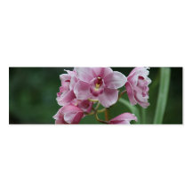 orquídea rosada con la señal del follaje tarjeta de visita