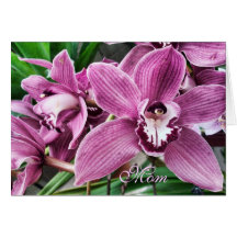 Orquídea rosada dramática - el día de madre feliz tarjeta
