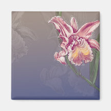 orquídea rosada hermosa en azul profundo iman para frigorífico