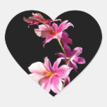 Orquídea rosada pegatinas  