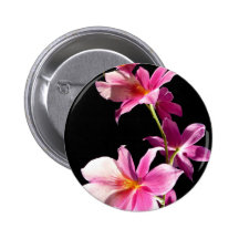 Orquídea rosada pins