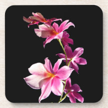 Orquídea rosada posavasos