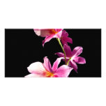Orquídea rosada tarjeta fotografica  