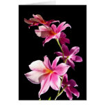 Orquídea rosada tarjetas