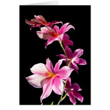 Orquídea rosada tarjetas