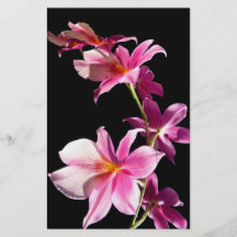 Orquídea rosada tarjetas publicitarias