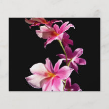 Orquídea rosada tarjetones