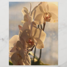 Orquídea soleada tarjeton