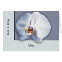 Orquídea Tarjeton