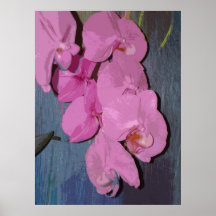 ORQUÍDEAS 2 POSTERS