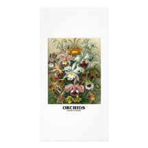 Orquídeas (Artforms de la naturaleza) Tarjeta Fotográfica Personalizada
