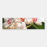 orquídeas blancas, plantación de la perspectiva, f etiqueta de parachoque