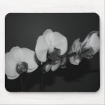 orquídeas blancos y negros alfombrillas de raton