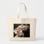 Orquídeas Bolsa