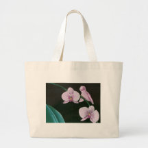 Orquídeas Bolsa