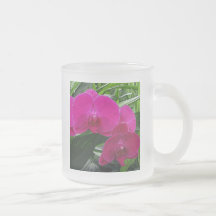 Orquídeas de color rosa oscuro tazas