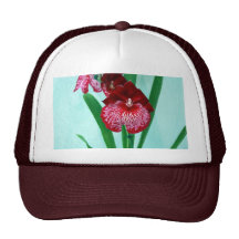 Orquídeas de señoras de baile gorras de camionero