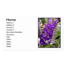 Orquídeas de Vanda Plantilla De Tarjeta De Negocio