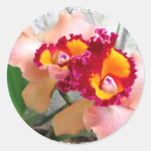 Orquídeas en la casa de la mariposa pegatina