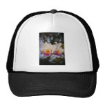 Orquídeas en la puesta del sol gorro de camionero