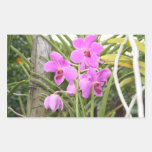 Orquídeas Etiqueta
