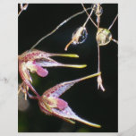 orquídeas flotantes tarjeton