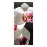 Orquídeas Lonas
