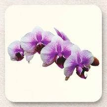 Orquídeas magentas y blancas posavasos