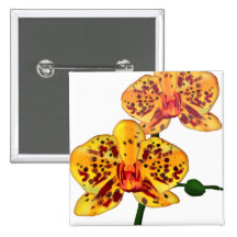 Orquídeas manchadas amarillo del Phalaenopsis Pin
