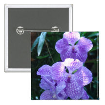 Orquídeas Pins