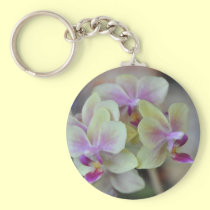 Orquídeas poner crema salvajes llaveros