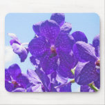 Orquídeas púrpuras/azul tapete de raton