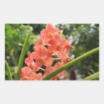 Orquídeas Rectangular Pegatina