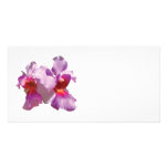 Orquídeas rosadas tarjetas fotográficas personalizadas