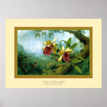 Orquídeas y Hummingbird~ Martin Johnson Heade Posters
