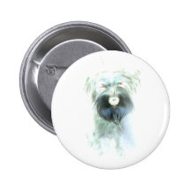 Óscar Pin