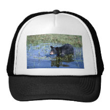 Oso-cachorro negro en pantano del verano gorro de camionero