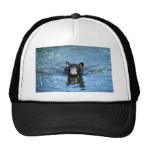Oso-cachorro negro en pantano del verano gorros bordados